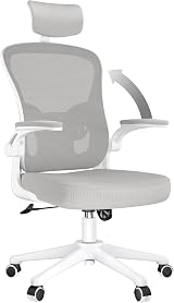 naspaluro Ergonomic Office Desk Chair with Adjustable Headrest Gray