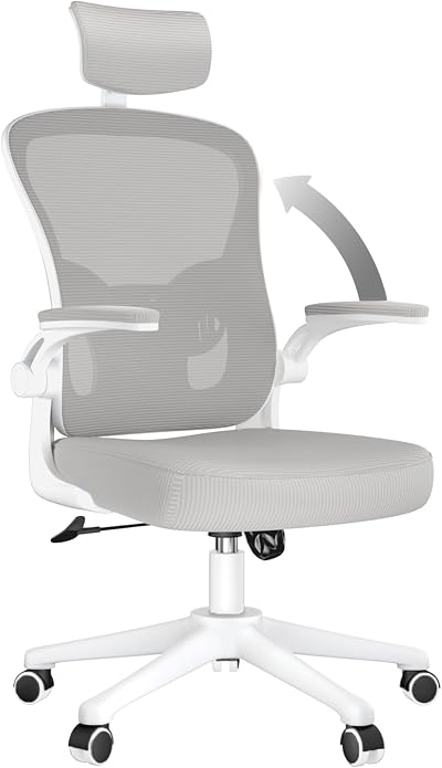 naspaluro Ergonomic Office Desk Chair with Adjustable Headrest Gray