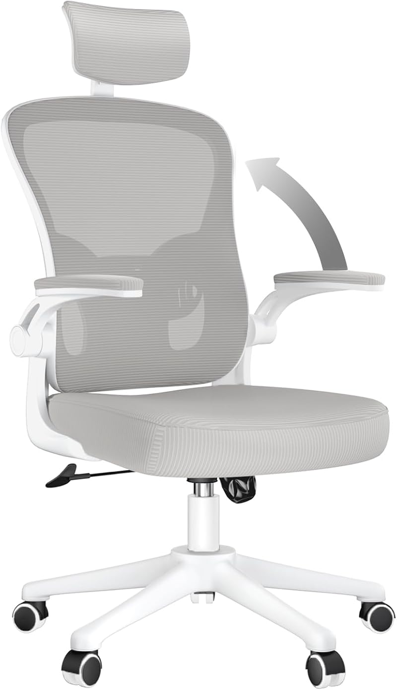 naspaluro Ergonomic Office Desk Chair with Adjustable Headrest Gray