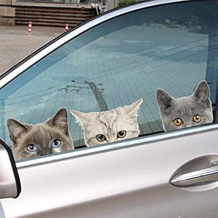 3d Habitacion De Los Ninos Mascota Hospital Decoracion Dormitorio