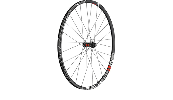 DT Swiss XR1501 Spline One 25 rueda delantera, 29 pulgadas ...