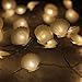 ER CHEN Newest 40 LED Sea Shell,10Ft Long Indoor&Outdoor Waterproof Battery Operated Silver Wire String Lights with Remote&Timer