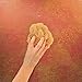 Natural Sea Sponges for Artists - Unbleached 5