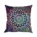 VIGVOG Set of 4 Retro Floral Mandala Compass Medallion Bohemian Pillow Covers, Double-Sides Boho Decor Hippie Throw Pillows Decorative for Sofa Couch Pillow Case 18 X 18 Inch (Boho 03)