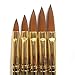 Mintbon 5pcs Acrylic Nail Art UV Gel Carving Pen Brush Liquid Powder DIY No. 2/4/6/8/10
