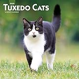 Tuxedo Cats 2020 12 x 12 Inch Monthly Square Wall Calendar, Animals Cats by