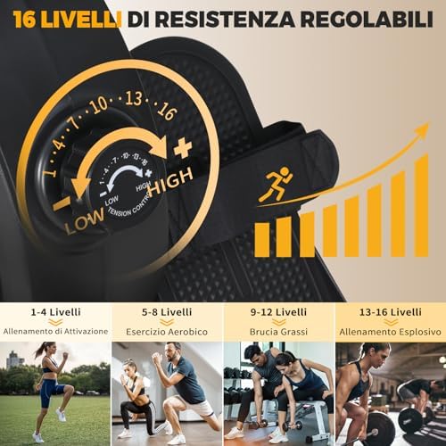 Vogatore per Casa con 16 Livelli di Resistenza, Vogatore Magnetico con Schermo LCD Supporto per Smartphone, NV-1791