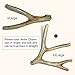 Antler Dog Chew from Pet Expertise, Large 6