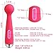SVAKOM Mini Emma 100% Waterproof Powerful Electric Wand Massager Rechargeable Vibrator for Women(Plum Red)