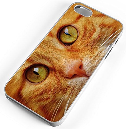 iPhone Case Fits Apple iPhone 8 PLUS 8+ Orange Tabby Pussycat Whiskers Feline Clear Plastic