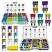 220PCS Car Blade Fuses Assortment Kit - MuHize Automotive Standard & Mini (2A/3A/5A/7.5A/10A/15A/20A/25A/30A/35A) Assorted Fuse with Puller Tool, Replacement Car RV SUV Truck Camper Fuses