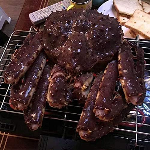 review Zcm Electric Grills Electric Grill Household Electric Roasting Smokeless Electric Grill Household Electric Grilling Indoor Smokeless Electric Grilli (Color : 48cm H)