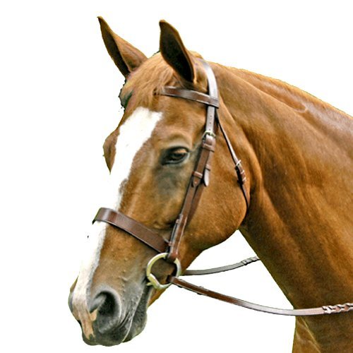 Exselle Flat Hunt Bridle, Full
