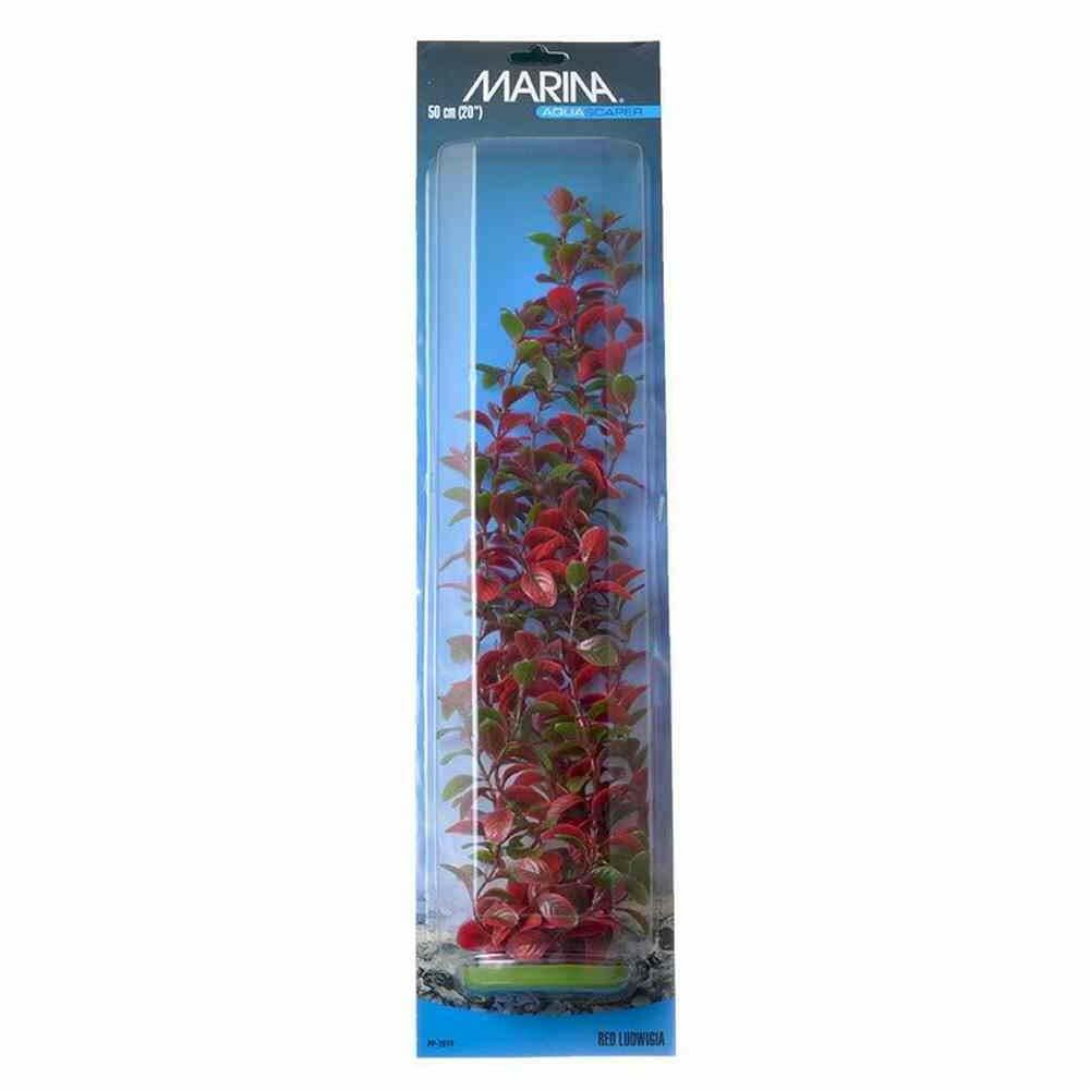 Marina Aquascaper Ludwigia, 20-Inch
