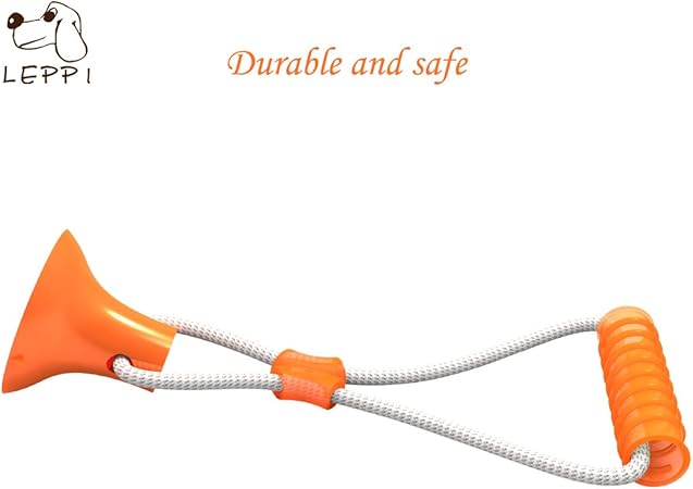 dog chew toy stuck to floor