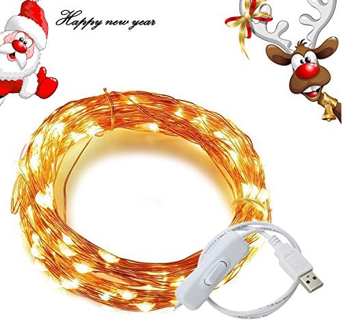 Seewa LED String Light, 33ft 100 LED Waterproof Decorative Lights with Power Switch for Indoor and Outdoor, Garden, Patio, Wedding, Tree, Party, Christmas, Thanksgiving (100 LED warm)