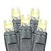 Novelty Lights 34 Feet Long, 100 LED Mini Black Wire Christmas Lights, Warm White, End to End Connectable, UL Listed for Indoor/Outdoor Use