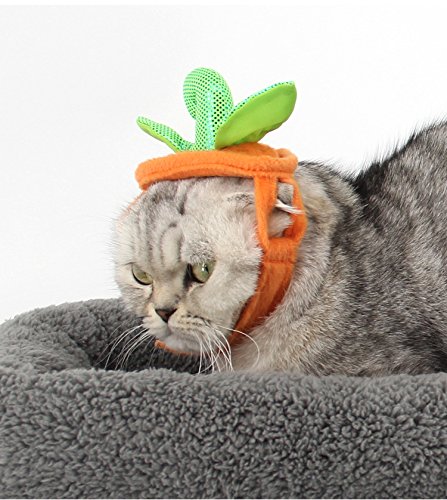 Stock Show Pet Halloween Hat And Amp Cloth Suits Adjustable
