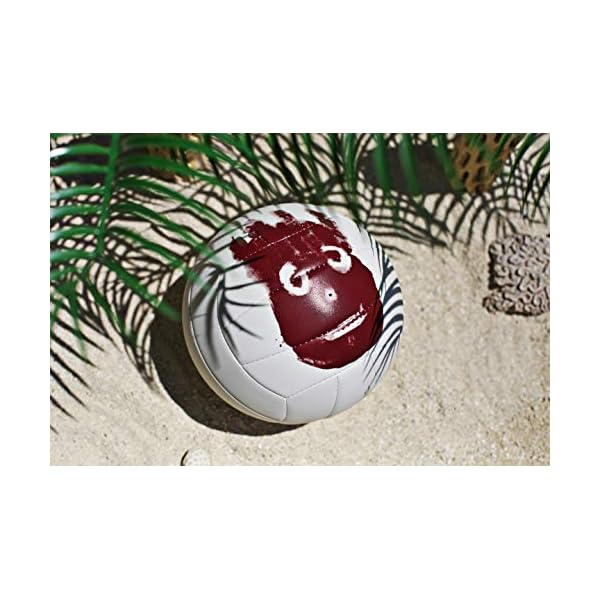 WILSON Outdoor Recreational Volleyball Official Size » La Decade