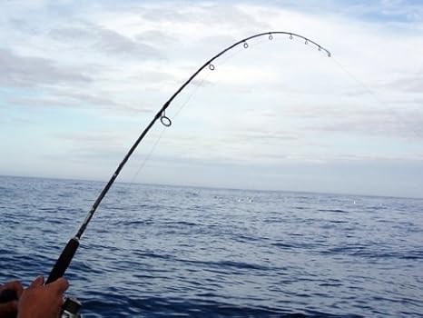 shimano trevala casting rod