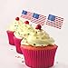 TINKSKY US Flag Picks American Flag Food Toothpicks Party Accessory Party Favors, Pack of 100