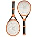 Aspectek l Rechargeable l Electronic Fly Swatter | Killer. Handheld | Fly Zapper | Detachable Flash Light, 2 pack
