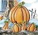 Fall Pumpkin And Gourd Halloween Lawn Stake Decorations