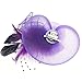 Navifoce Fashion Women's Flower Feather Mesh Net Fascinator Beaded Cocktail Headwear with Hair Clip and Brooch (Light Purple)