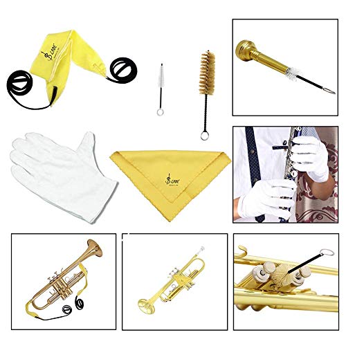 Starnearby 5pcs Saxophone Cleaning Care Kit Mouthpiece Brush Musical Maintenance Tool