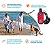 Pexup Waterproof Dog Training Collar - Rechargeable Dog Training Active collar with 3 Training Modes and 100% Waterproof - New Dog Training Collar for small medium and large dogs