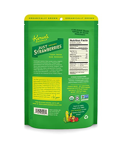 image for Karen's Naturals Organic Just Strawberries, 4 Ounce Pouch  Organic All