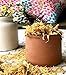Calendula Whole Dry Flowers for Tea, Baking, Crafts, Sachets, Baths, Yoni Steams, Oil Infusions, Tinctures - 4oz in Resealable, Recyclable Pouch - by Better Shea Butter