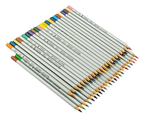 Marco 48 Colored Pencils/Drawing Pencils for Sketch/Secret Garden Coloring Book with 48 Pen Pouch
