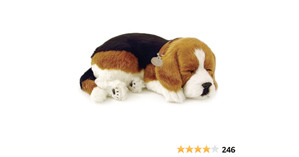 perfect petzzz beagle