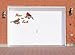 Peace on Earth Holiday Garage Door Magnets, Multi