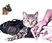 Cat Grooming Bag - SMALL, cat restraint bag + FREE Cat Muzzle by, Downtown Pet Supply
