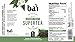 Bai Iced Tea, Socorro Sweet, Antioxidant Infused Supertea, Crafted with Real Tea (Black Tea, White Tea), 18 Fluid Ounce Bottles, 6 Count