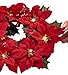 Homeseasons LED Pre-Lit Red Poinsettia, Christmas Poinsettia Wreath Centerpiece (Red)
