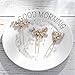 Asooll Rhinestone Bride Wedding Hair Pins Crystal Bridal Hairpieces Crystals Hair Accessories for Women and Girls (Pack of 3) (Silver)