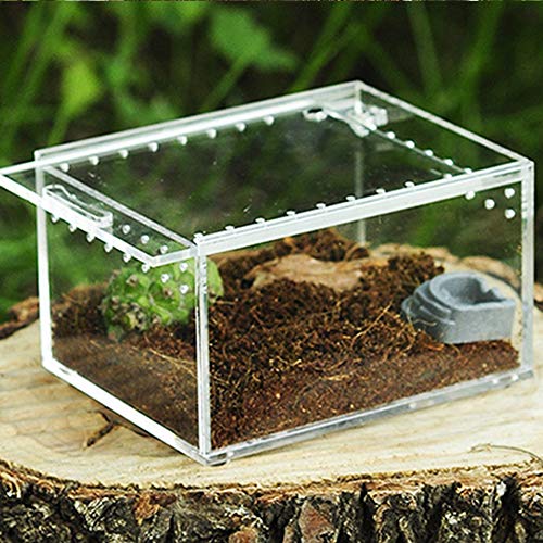 Biback Clear Reptile Breeding Box,Small Acrylic Terrarium Full View Visually with Sliding Design Feeding Box for Insect Reptiles Tarantulas Amphibians Lore Caterpillars Cricket Spider Snail Reptile - Thumbnail 7