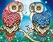 LPRTALK Diamond Painting by Number Kit, 5D DIY Diamond Painting Animal Full Round Drill Owl Couple Embroidery for Wall Decoration 12X16 inches (Full Drill)