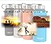 Smart Flask Wide Mouth Stainless Steel Water Bottle, 18 Oz, Vacuum Insulated, Includes Leakproof Metal Lid, and Convenient Straw Cap, Fits Most car Cup Holders.