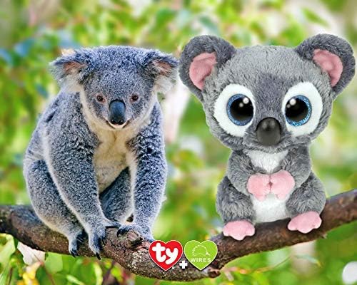 koala beanie boo
