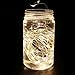 HOPDAY LED String Lights, Copper Wire Lights for Seasonal Decorative Gardens Christmas Holiday Wedding Parties Home Bedroom –Warm White (100 LEDs 33 ft, Low Voltage Plug)
