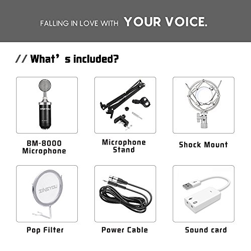 ZINGYOU BM-8000 Professional Studio Condenser Microphone Set, XLR Condenser Mic Bundle for Recording (Black)