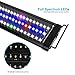 MingDak Full Spectrum LED Aquarium Light,Fish Tank Light with Aluminum Housing Extendable Brackets,White Blue Red Green LEDs for Freshwater Plants,30 to 36-inch,6500K