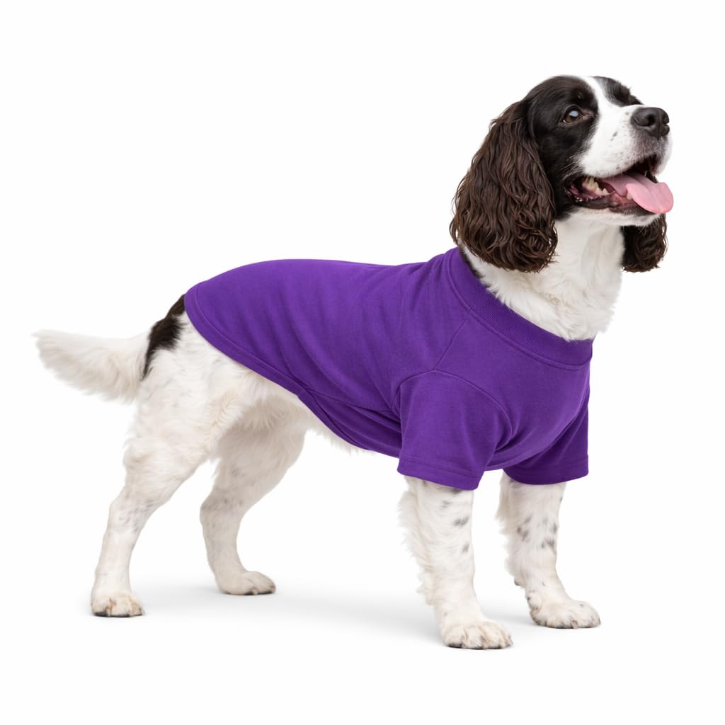 Lovelonglong Pet Clothing Dog Costumes Basic Blank T-Shirt Tee Shirts for Medium Large Dogs Purple XXL+