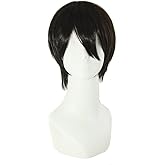 MapofBeauty 12 Inch/30 cm Men Short Straight Cosplay Costume Wig, Black