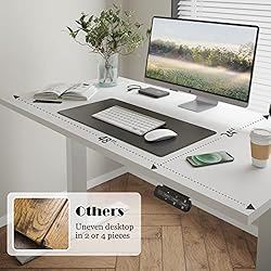 STARY Electric Whole Board Standing Desk Adjustable