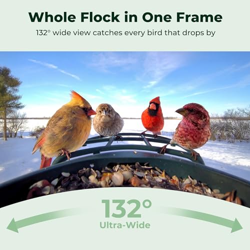 Kiwibit Solar Smart Bird Feeder with Camera, AI Bird Species Identification, 8MP Photos, 4K UHD Video Live Stream Wild Bird House Feeders for Outdoors, Birdwatching Gifts for Bird Lovers, Green
